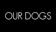 ourdogs