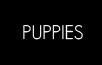 puppies